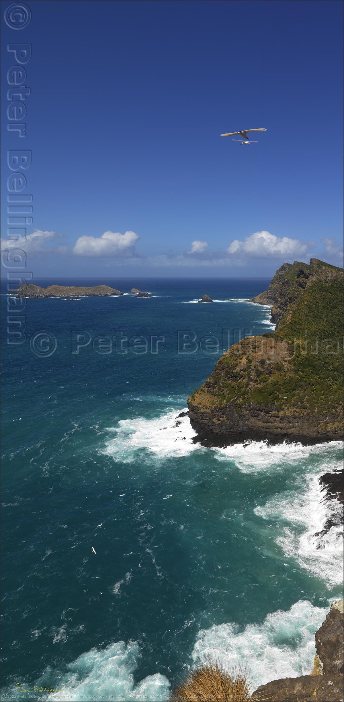 Peter Bellingham Photography Kim's Lookout - Malabar - Admiralty Islands - Lord Howe Island - NSW T V (PBH4 00 11936)